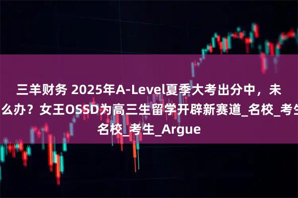 三羊财务 2025年A-Level夏季大考出分中,未达CON怎么办?女王OSSD为高三生留学开辟新赛道_名校_考生_Argue