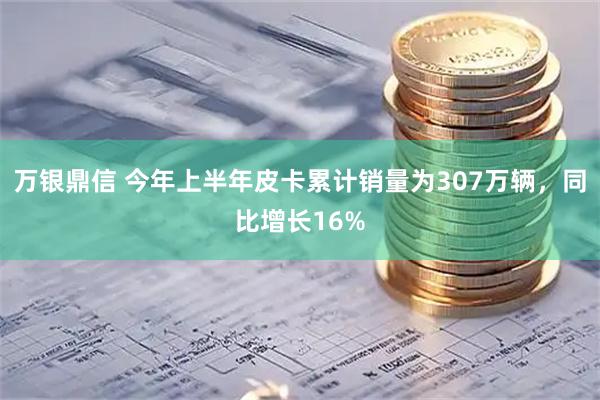 万银鼎信 今年上半年皮卡累计销量为307万辆，同比增长16%
