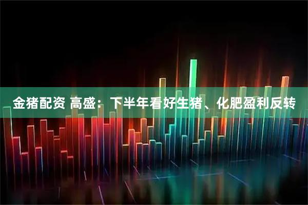 金猪配资 高盛：下半年看好生猪、化肥盈利反转