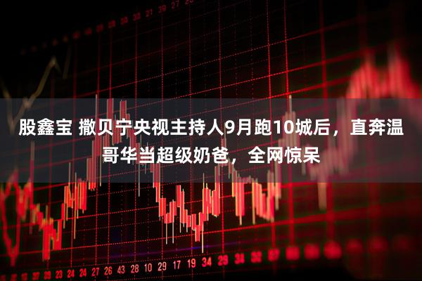股鑫宝 撒贝宁央视主持人9月跑10城后，直奔温哥华当超级奶爸，全网惊呆